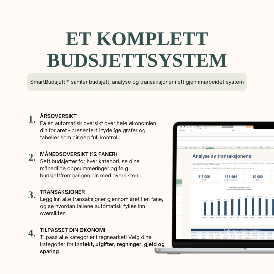 SmartBudsjett™ Excel