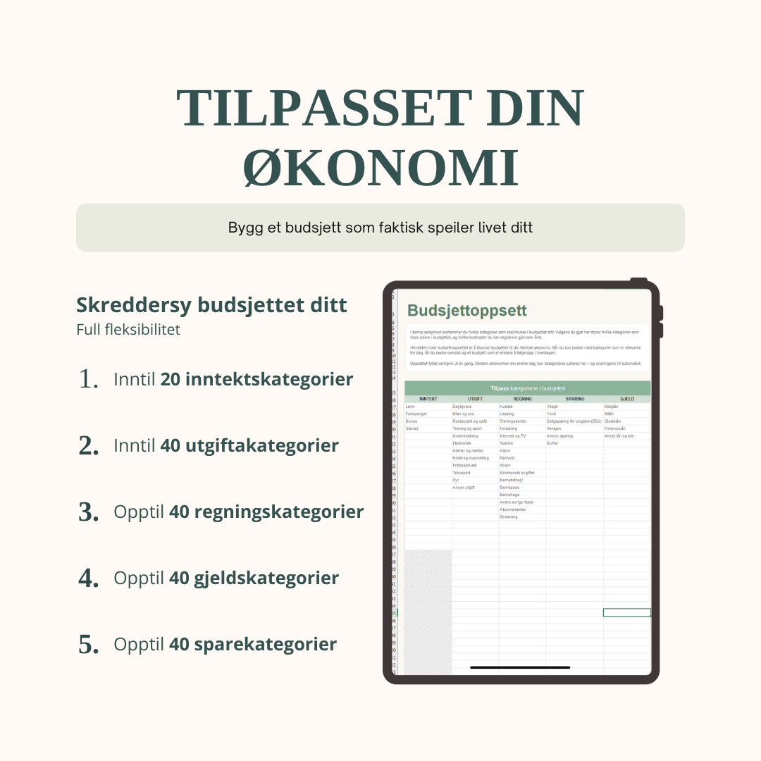 SmartBudsjett™ Excel
