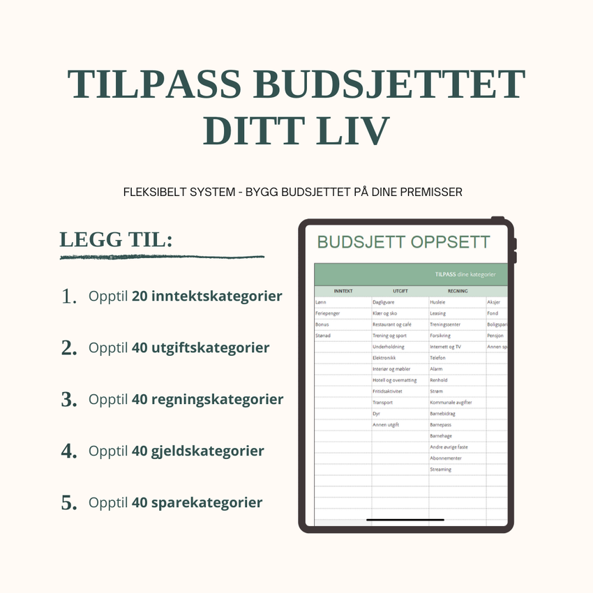 SmartBudsjett Google Sheets – produktbilde 2