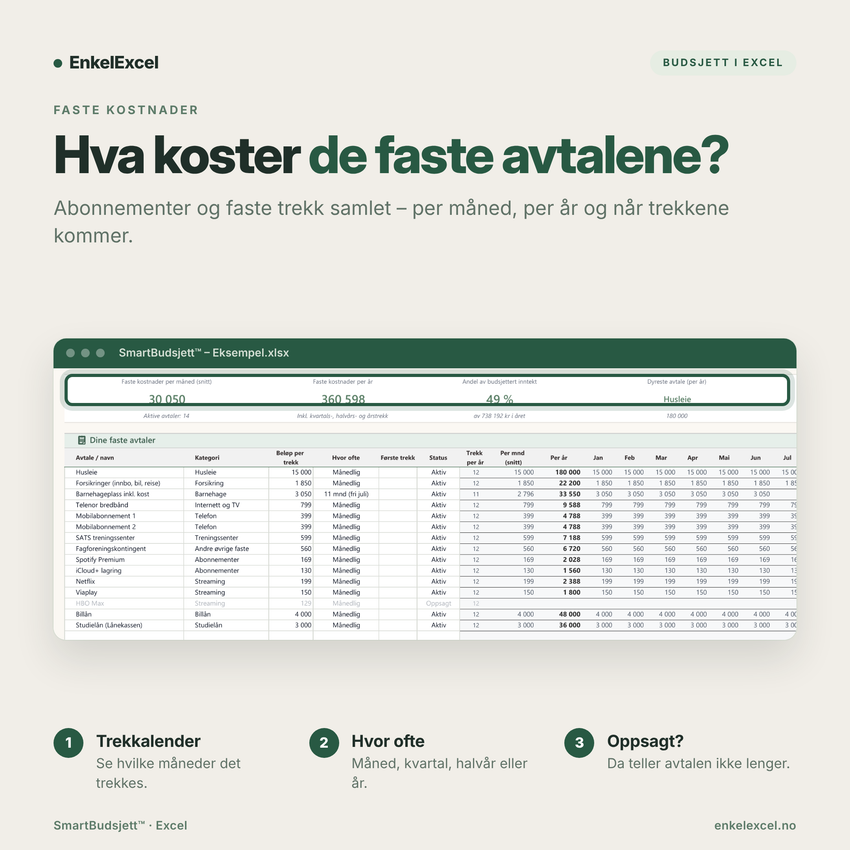 SmartBudsjett Excel – produktbilde 3